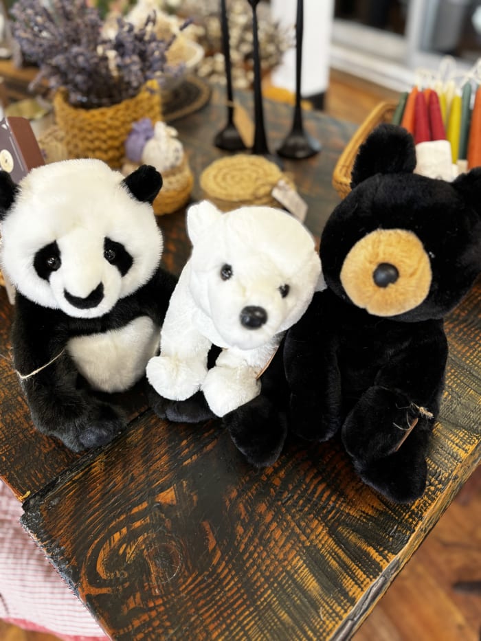 Beary the Brown Bear