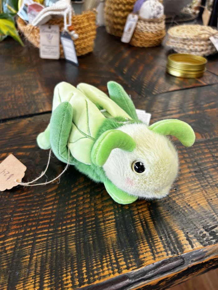 Hoppy the Grasshopper