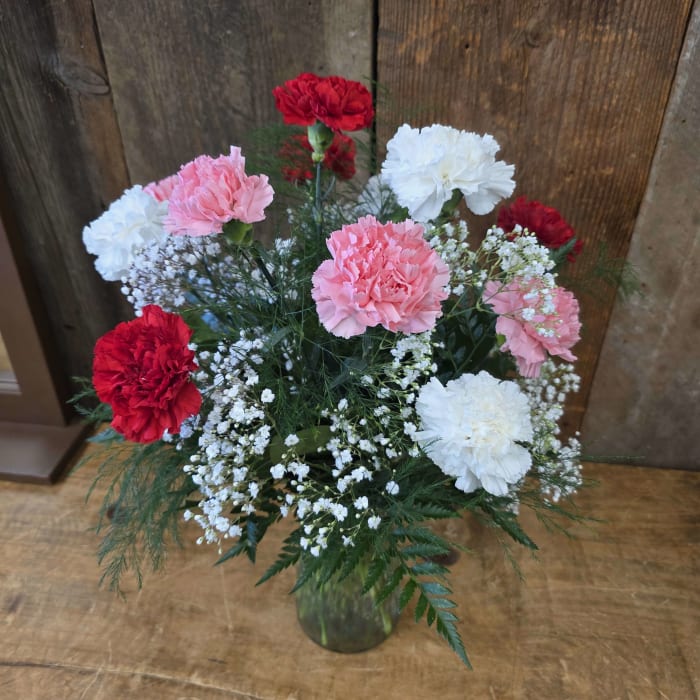 Long Stem Carnation Dozen Vday Colors