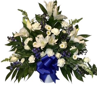 Tranquil White Embrace