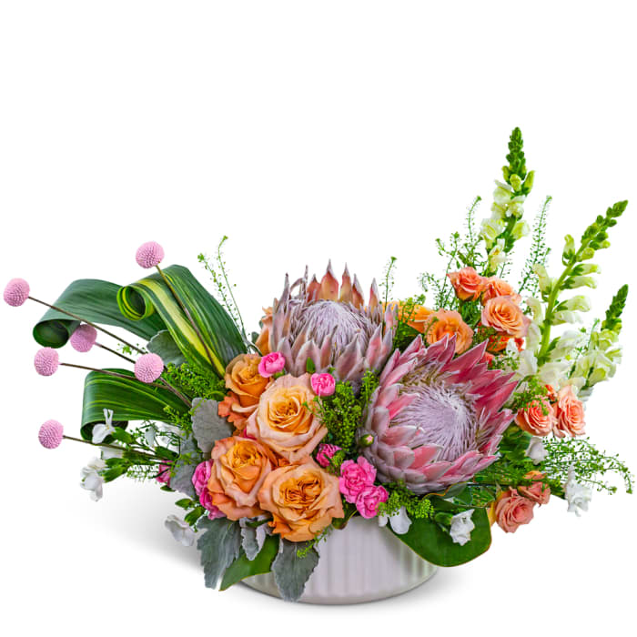Prosecco Protea
