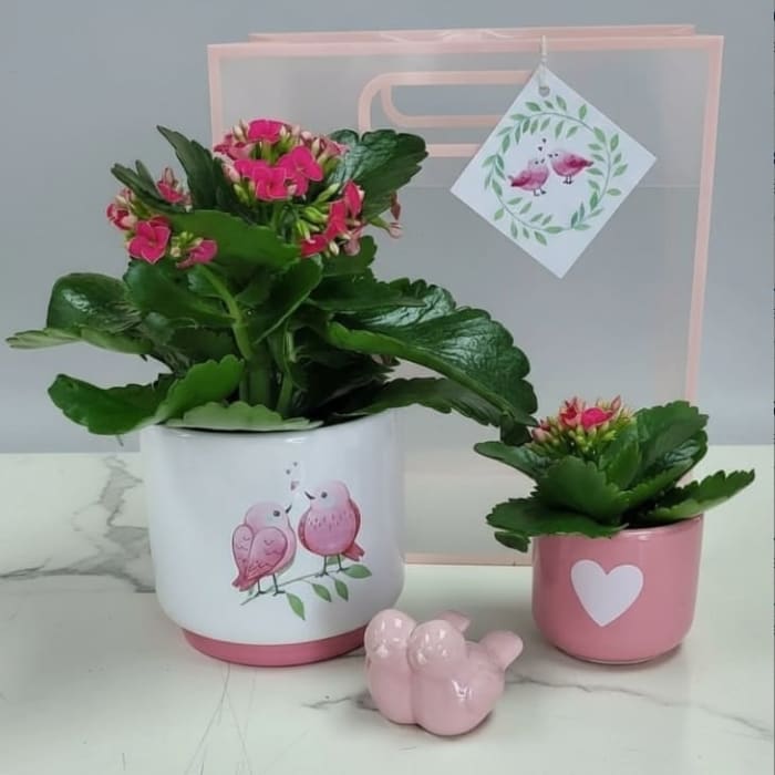 Tweethearts Planter