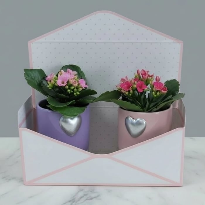 Pen Pal Envelope Planter