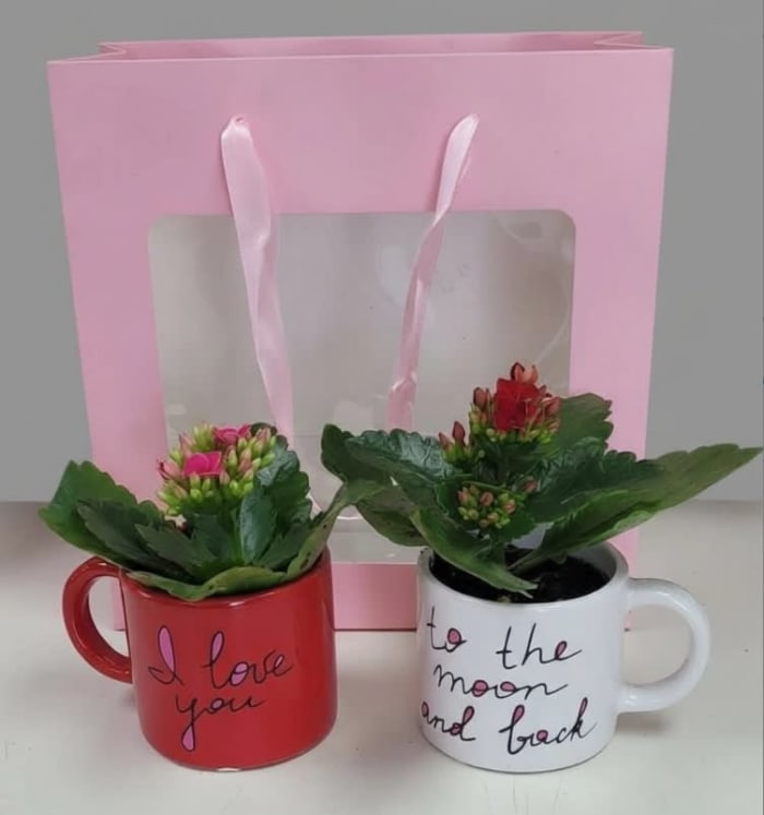 Love you to the Moon planter set.