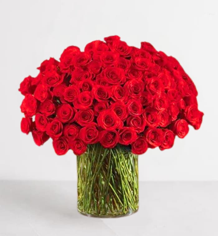 100 Stem Rose Vase