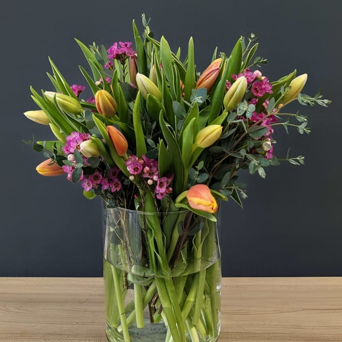 30 Stems Fresh Dutch Tulips