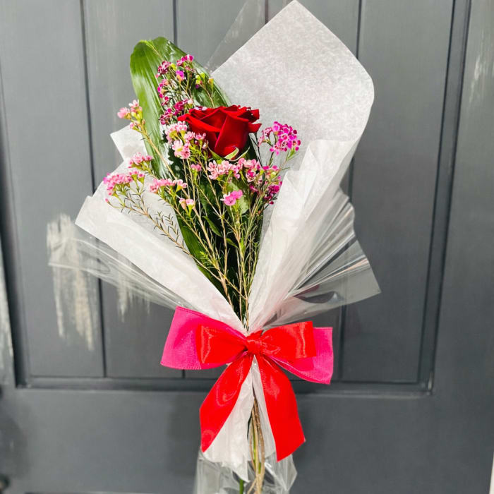 Single Valentine Rose Wrapped