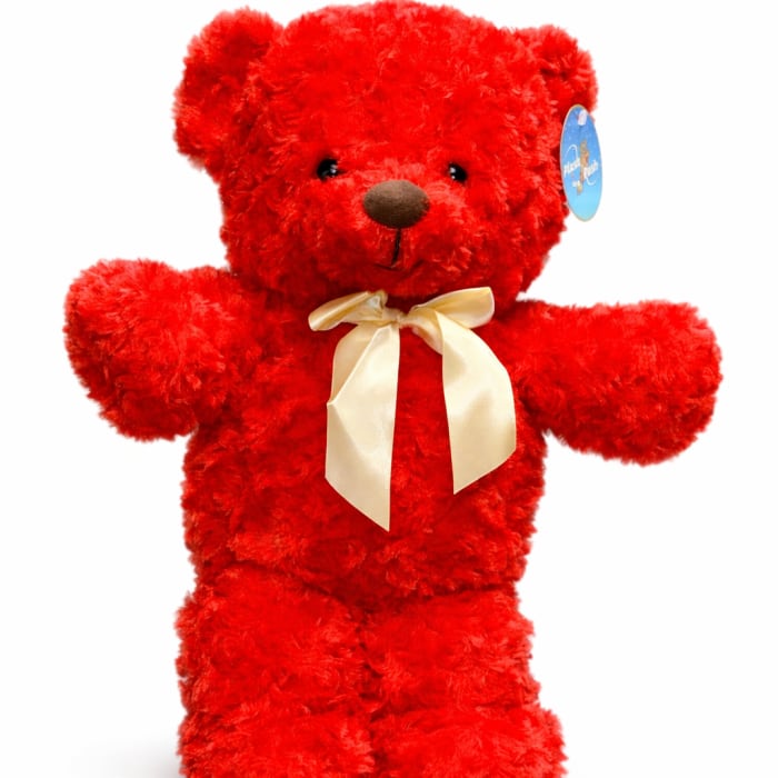Valentine's Bear