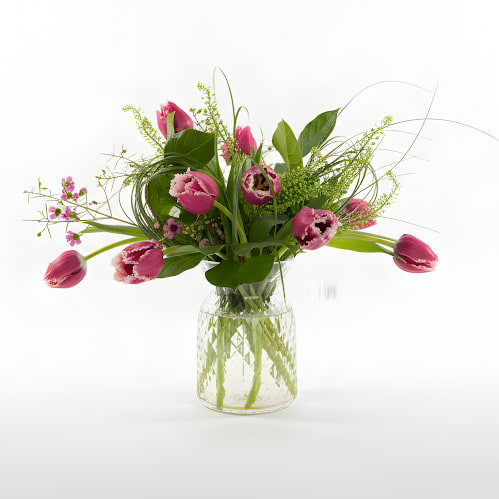 Locally Grown in Maine Tulips