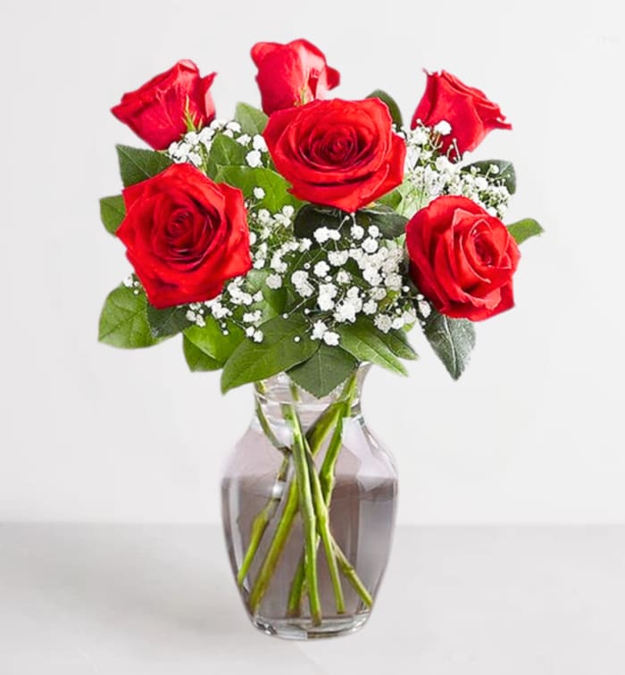 Classic 6 Red Rose Vase