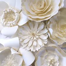 Designer's Choice - All White