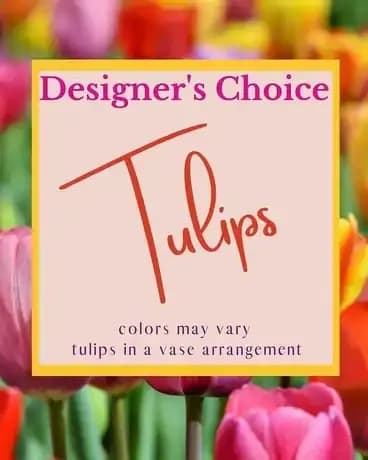 Designer’s Choice - Tulips
