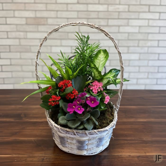 Flowering Dish Garden