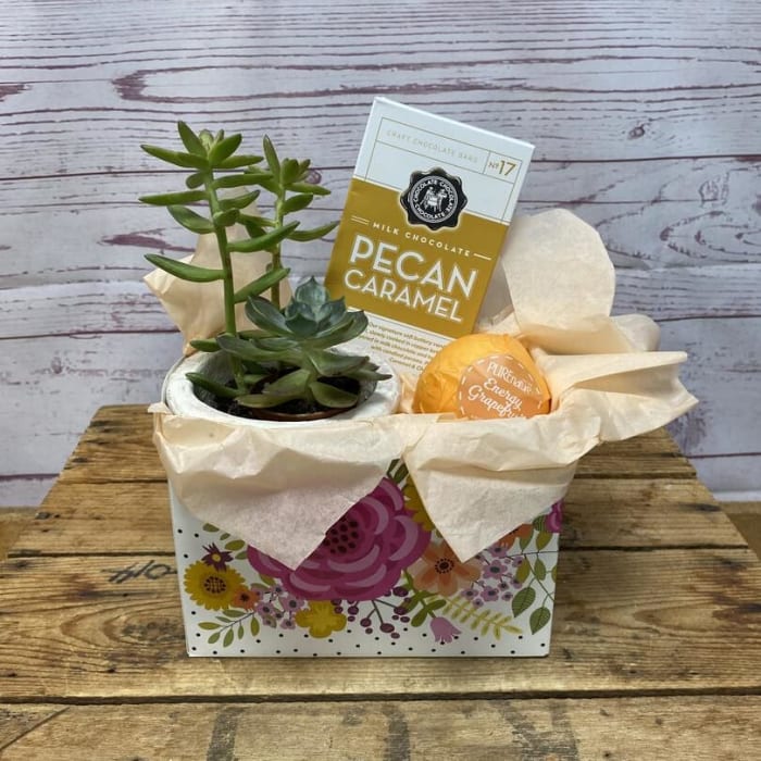 Mindful Moments Plant Gift Set