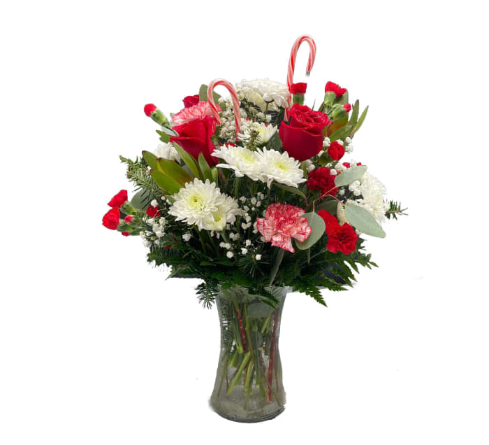 Springtime Wonderland