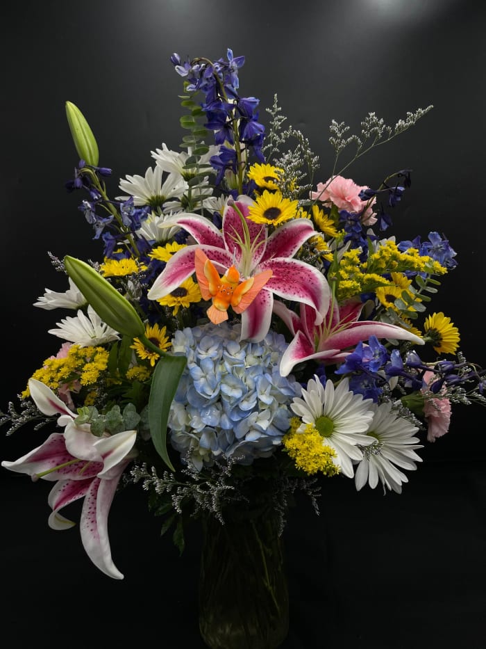 Kings Hummingbird Special