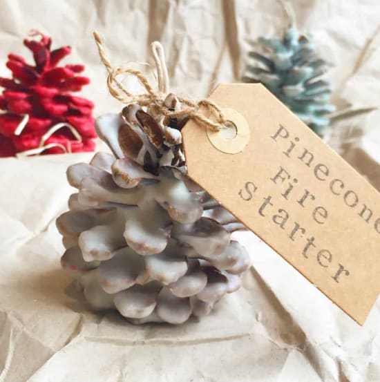 Pine Cone Fire Starters