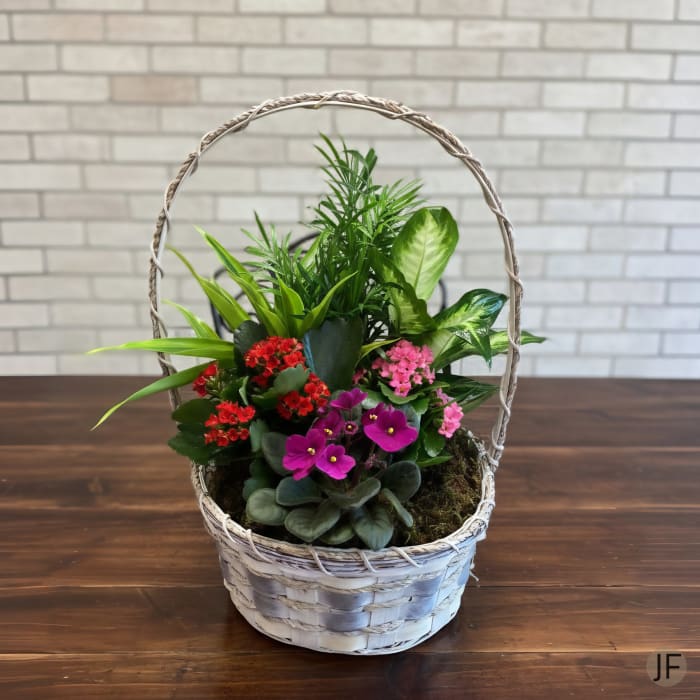 Flowering Dish Garden