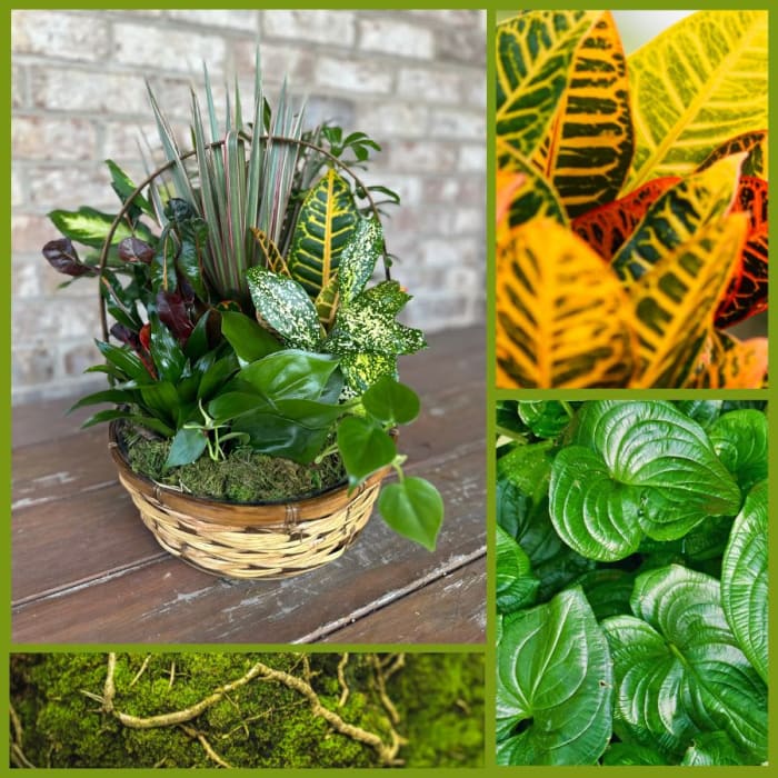 Emerald Garden Basket