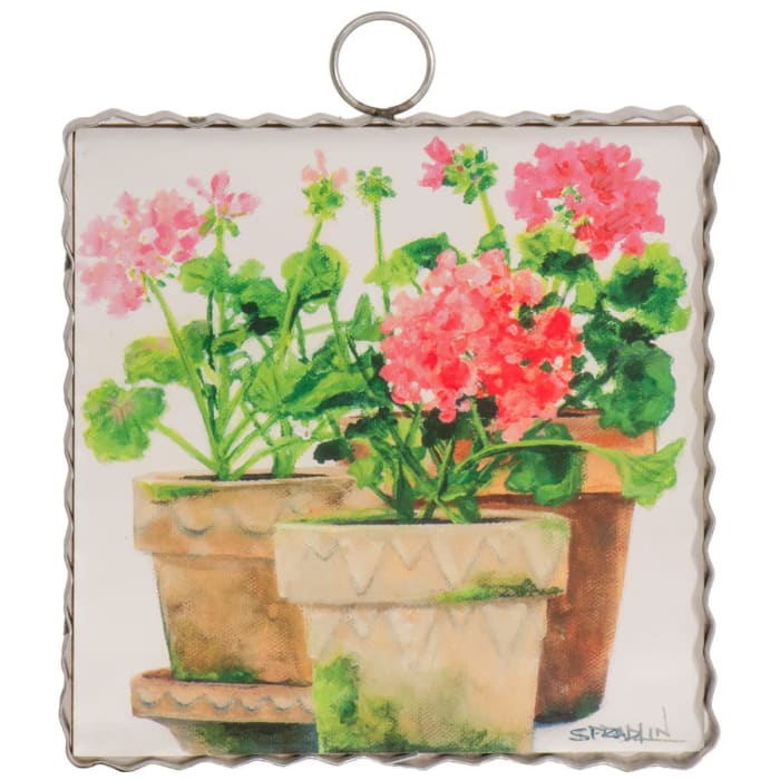 Mini Pots of Geraniums Print