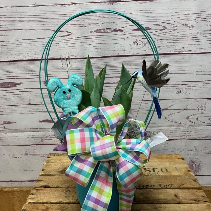 Blooming Tulip Plant