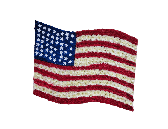 D-14 Bandera americana con cinta impresa