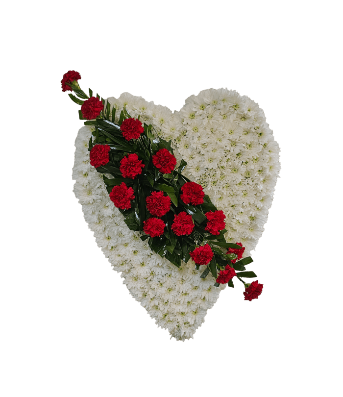 D-3 Corazón de pompones con focal en claveles. Incluye mensaje impreso en cinta.