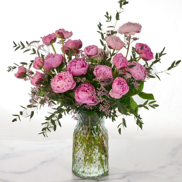 Dreamy Peony