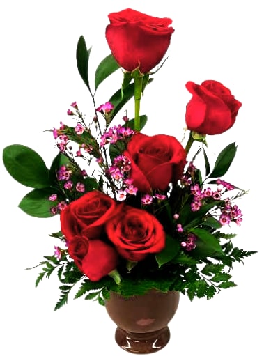 Glamour Rose Celfie (Vanilla OR Chocolate Pot) IF-5027