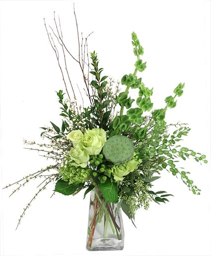 An Entrancing Marvel