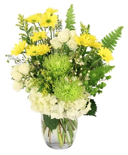 Splendid Citrus Vase