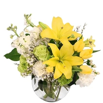 Luxurious Lemon Dream