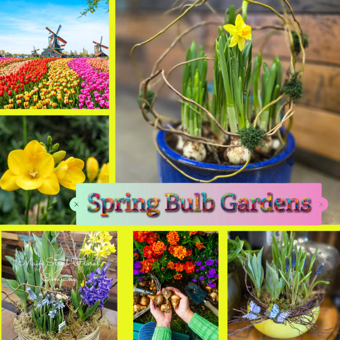 Spring Bulb Gardens