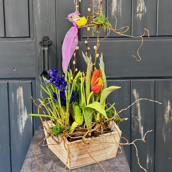 Spring Bulb Box Garden