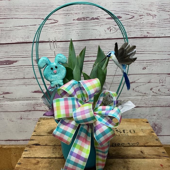 Blooming Tulip Plant