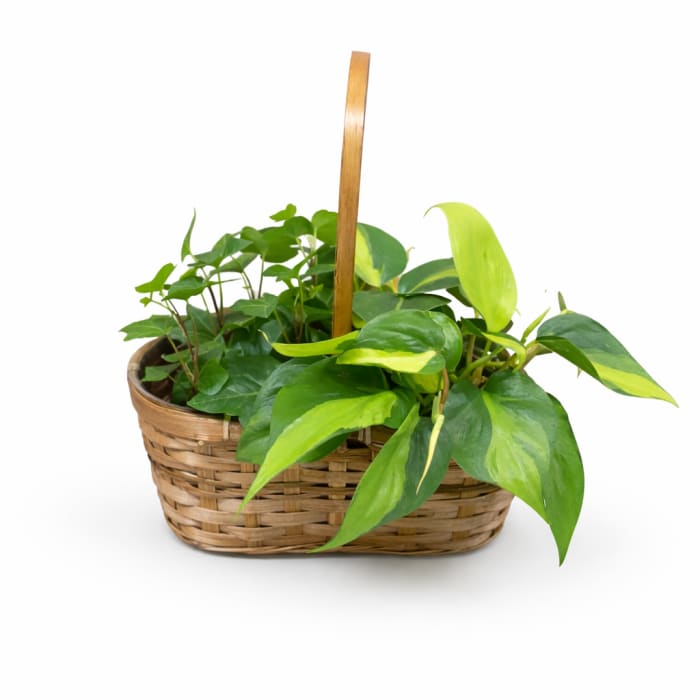 4" Garden Basket