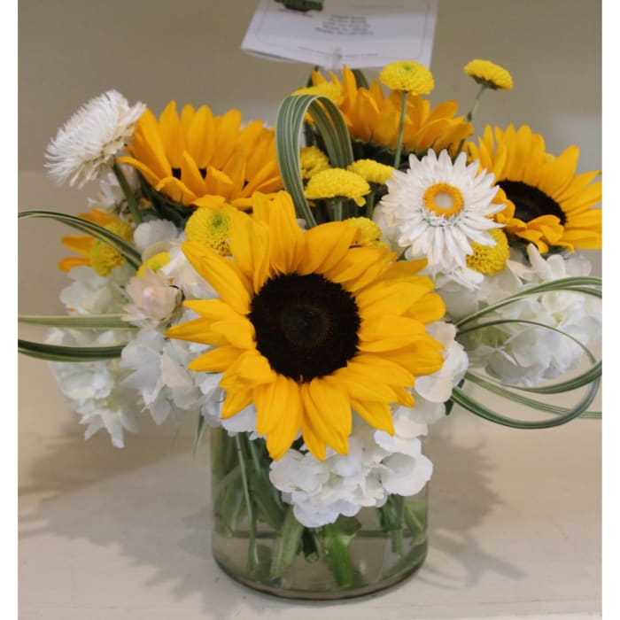 Little Miss Sunshine