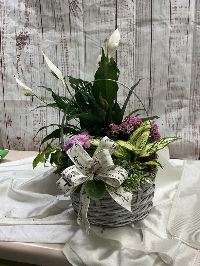 Wicker Basket  with plants