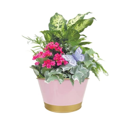 Spring Meadow Metal Planter 8"