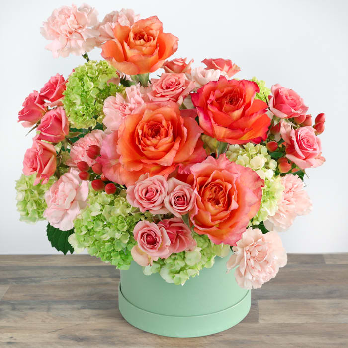 Blooming Coral Garden