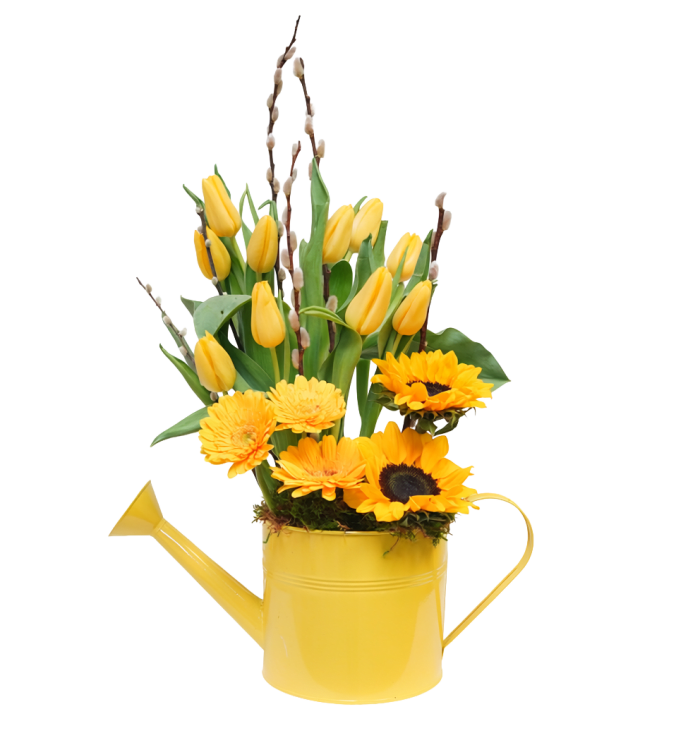 AM-12 Regadera de tulipanes, gerberas, girasoles y pussy willow