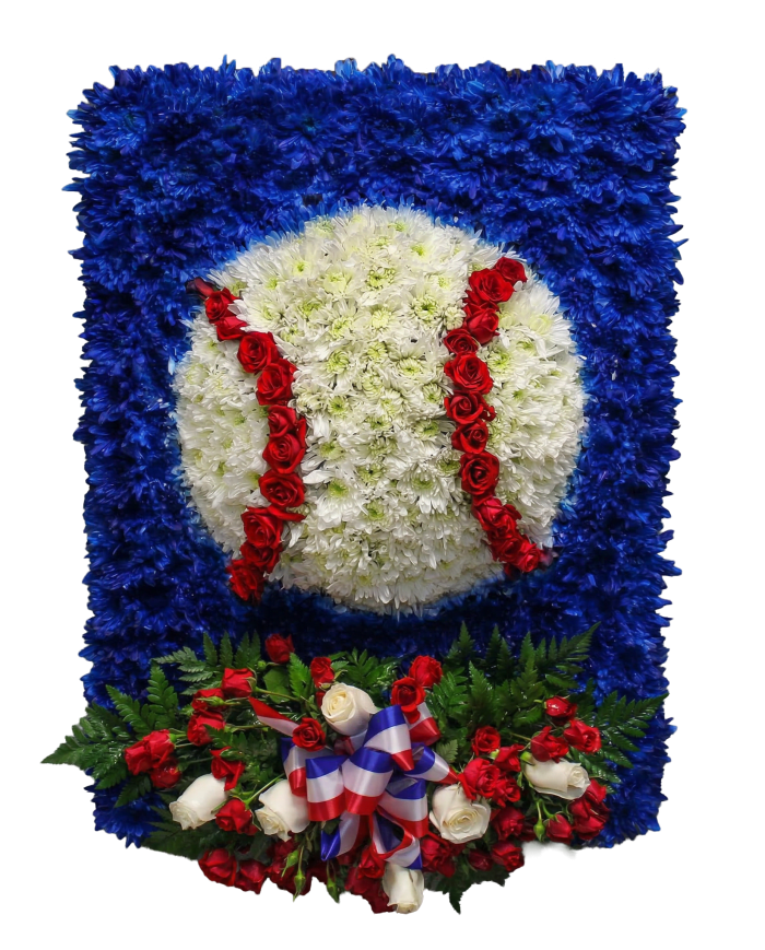 D-20 Bola de baseball