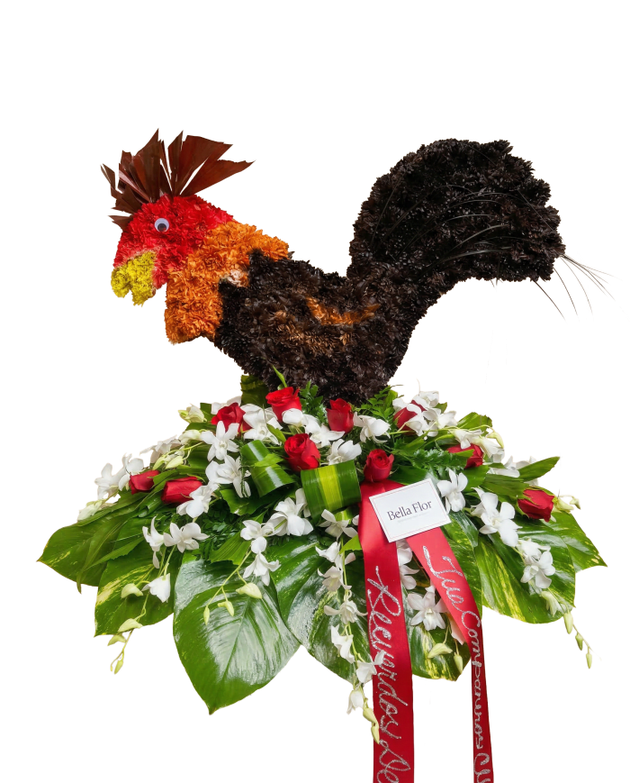 D-18 Gallo con cinta impresa