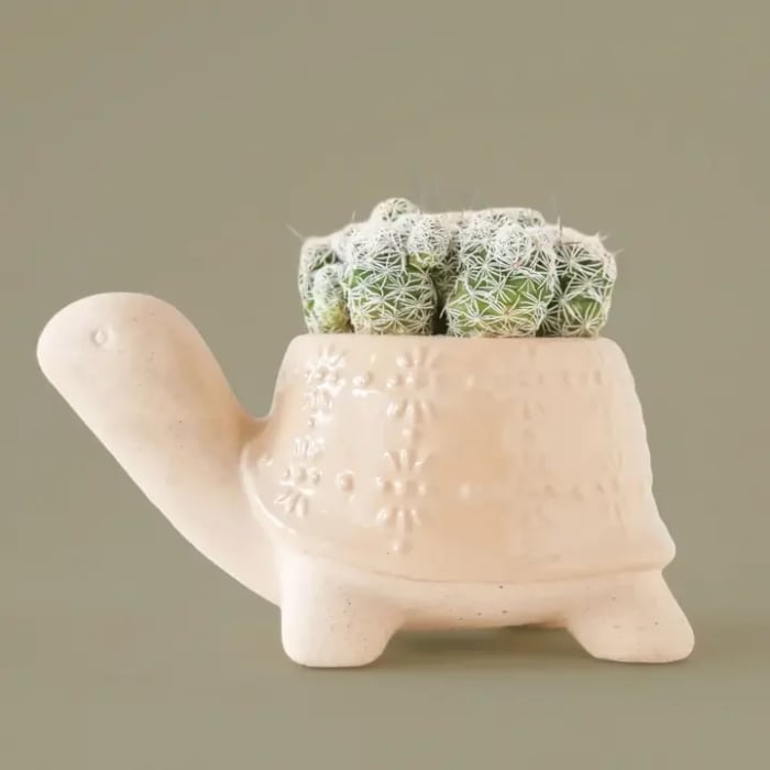 Turtle Planter