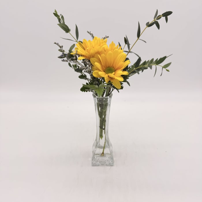 Just A Happy - Designers Choice