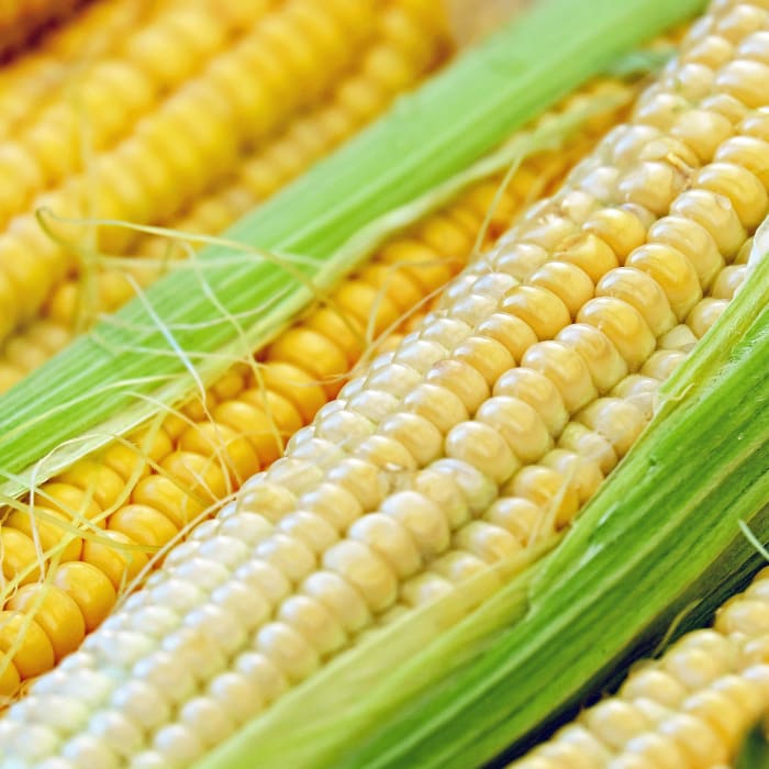 Corn (Half Scoop ~0.7 pounds)