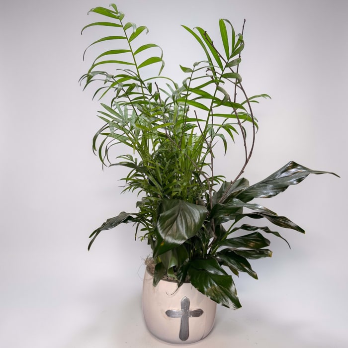 Palm and Peace Lily