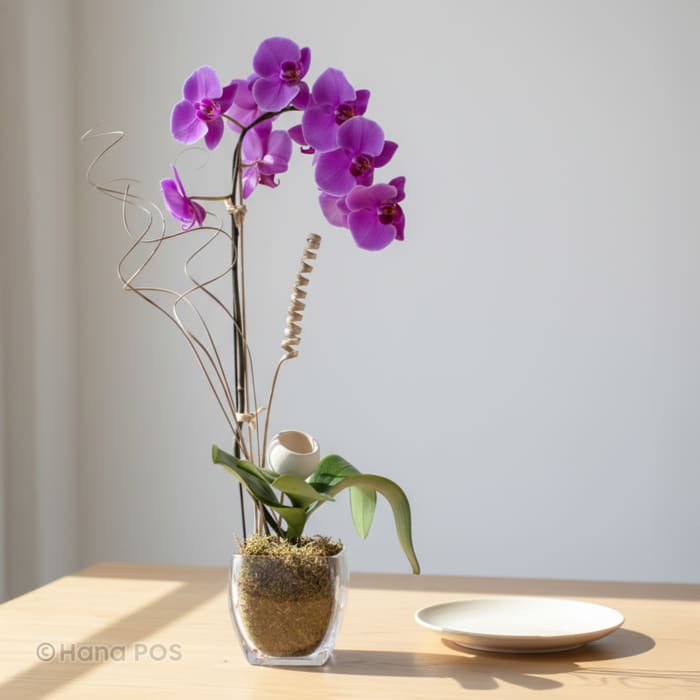 Tropical Orchids