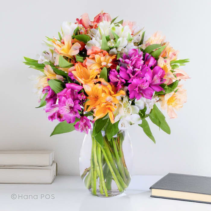 Radiant Alstroemeria