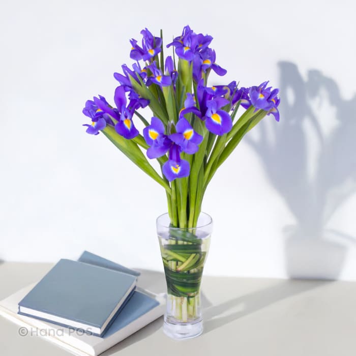 Iris Vase
